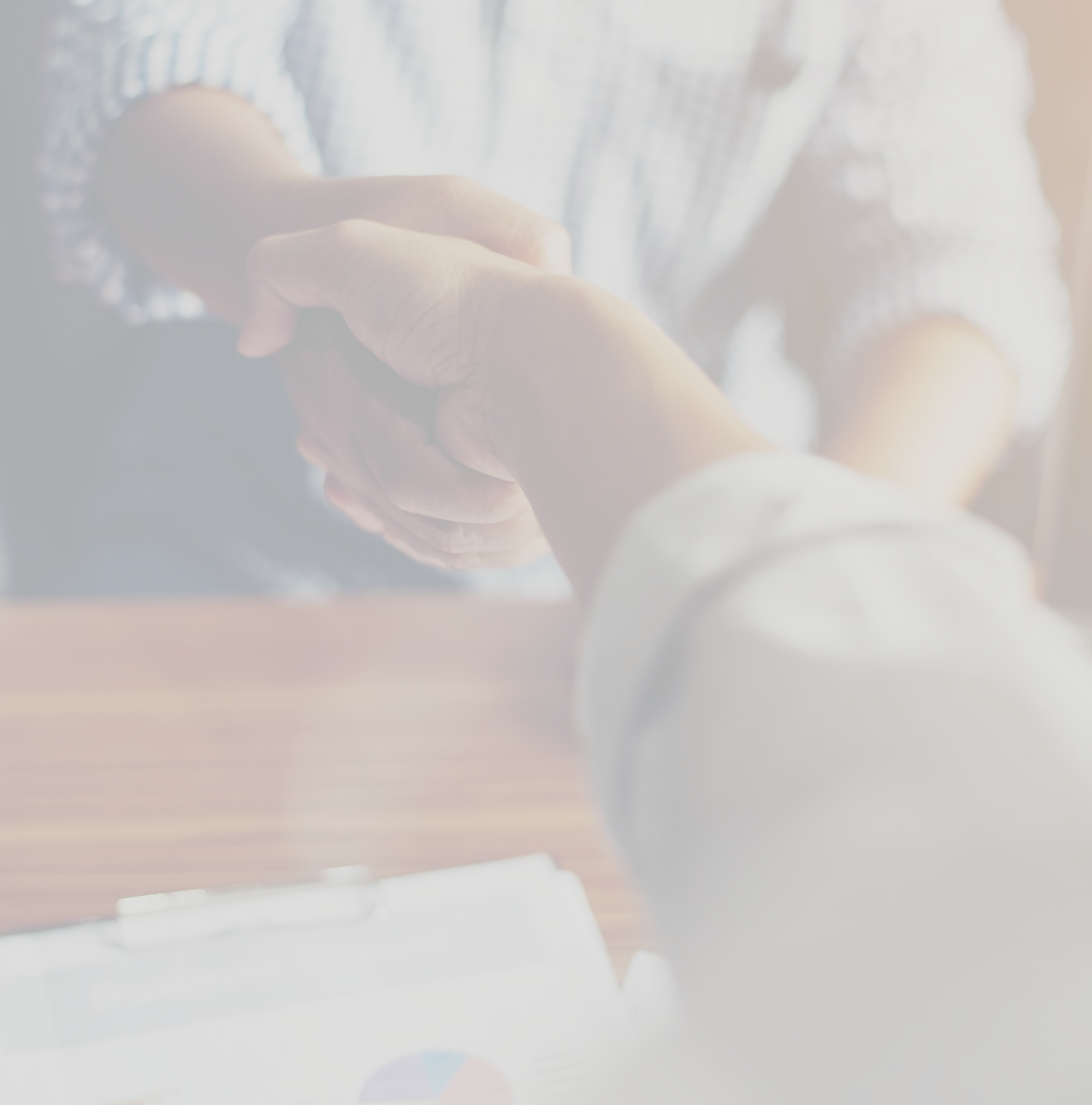 Bconsult Birgit Flucher Consulting